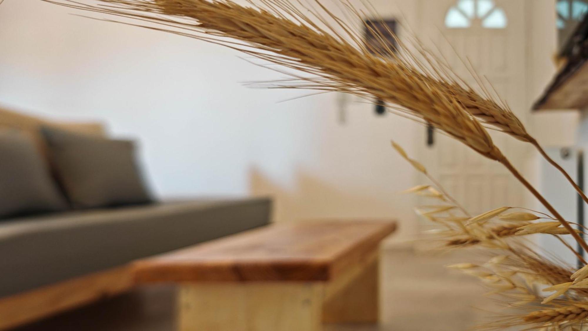 Paraga Suites Naxos City Dış mekan fotoğraf